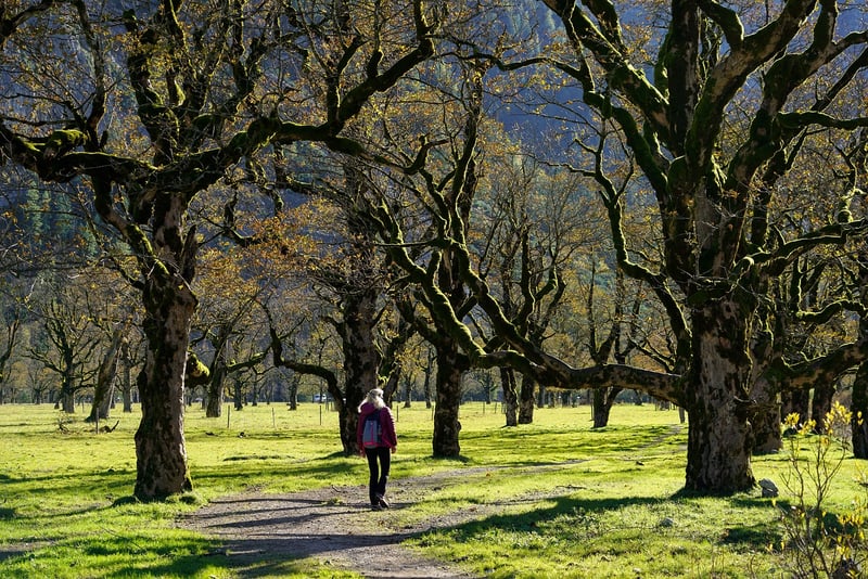 Mindful Walking Trails