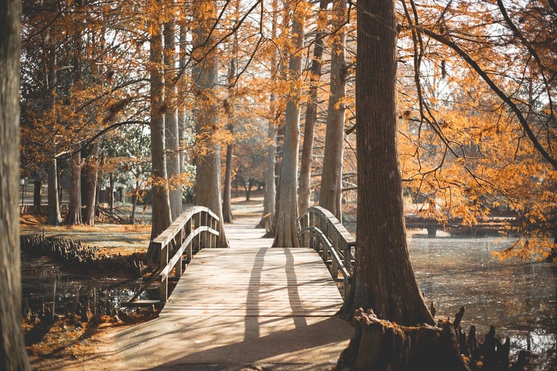 Riverside Promenade